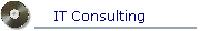 IT Consulting