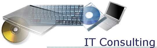 IT Consulting