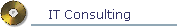 IT Consulting